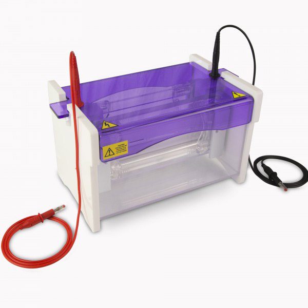  Mini Wide Dual Vertical Gel Electrophoresis Tank, 20 x 10cm. Complete with 2 sets of Glass Plates with 1mm Thick Bonded Spacers, 2 x 24 Sample 1mm Thick Combs, Including Caster and External Casting Upstand