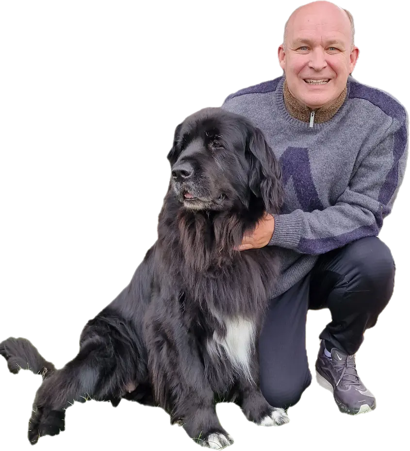  Canine Brucella Antibody Rapid Test Kit