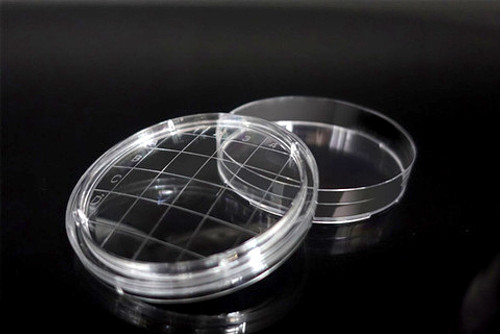 65mm Polystyrene RODAC Dish With Convex Bottom And Grid Lines