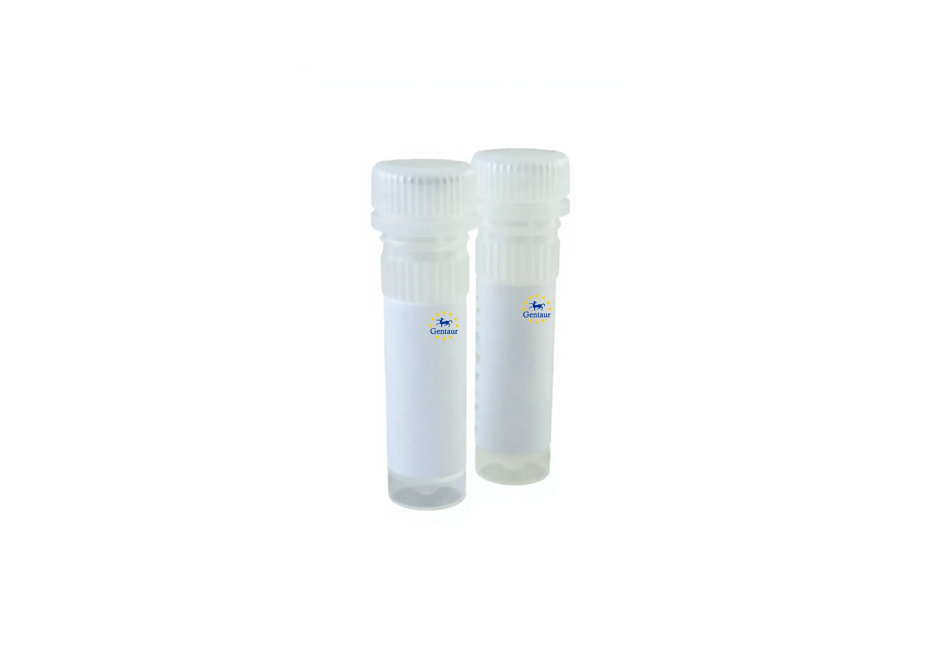  hot start taq polymerase 6000u 5u p1