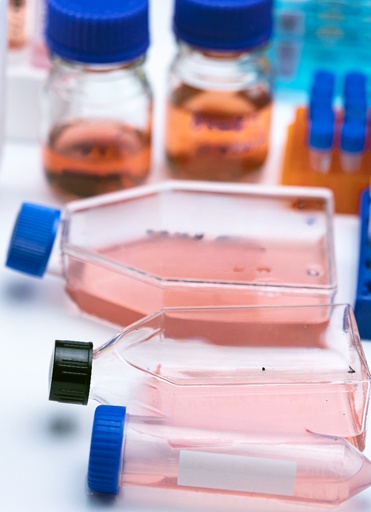 [GEN - CSI047Ra01-500k] Primary MC Cell, Rat